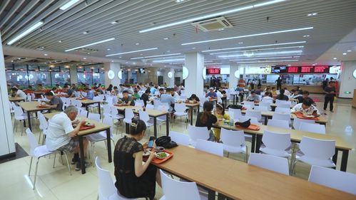 开学必看 校园食品安全与纺织品选购指南